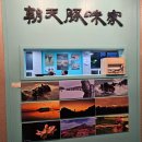 돈미가 | [제주시 조천] 제주 삼겹살 조천돈미가