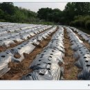 무럭무럭(주) 이미지