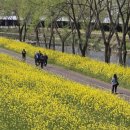 광주천변좌로자전거도로 이미지