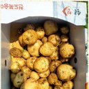 9988노인복지센터 네이버블로그