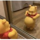 뽑기데이트 이미지