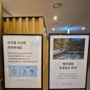 [포레스트 리솜 스파 후기] 수영복, 모자 필수 수영복 대신 기능성 옷도 가능! 주간, 야간 개장 있음...