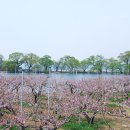 새마을로 이미지