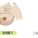 대한모유수유의학회