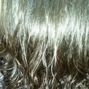 최은희헤어 이미지