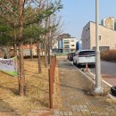 죽백9길 이미지