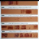 그로모