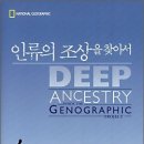제노웰스 Daum카페