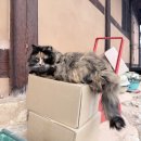 토지면 연곡사 입구 | 서울 근교 템플스테이 추천 솔직후기 - 2탄 /템플스테이 비교(연곡사, 용문사)