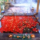 조은온천 이미지