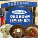 을지로 오장동 함흥냉면 후기 | 평양냉면 느낌 나는 함흥냉면 맛집 (내돈내산)