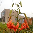 곡수보건진료소 이미지