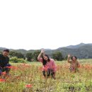 다울농장 이미지