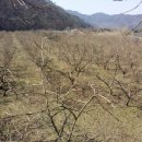 화평농장 이미지