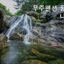 무주펜션 꿈꾸는 나무별 이미지