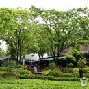 강마을 풍경 이미지