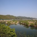 선어대생태공원 이미지