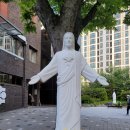 대림동 성당 내 이미지