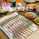 조천 제방화장실3 | 제주 동쪽 고등어회 맛집 미영이네 조천점 여기가 1등 내돈내산 후기