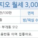 부개종합동물병원 이미지