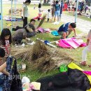 원삼면 주민센터 이미지