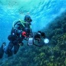 제주바당 이미지