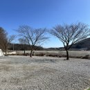 크로바전자 | 인천 강화도캠핑장 크로바캠핑장 반려동물동반 1박2일 후기