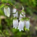 그 사람의 별장 이미지