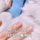 네일프롬제이