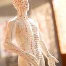 삼세한의원 이미지