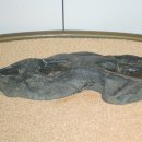 부천수석박물관 이미지