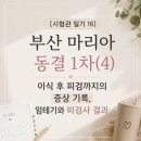 연제사랑의원 | [시험관 일기 16] 부산 마리아 동결 1차(4) 이식 후 피검까지의 증상 기록, 임테기와 피검사 결과