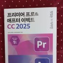 맛있는 디자인 스터디 17기, 프리미어 프로&amp; 애프터 이펙트 6주 스터디 후기