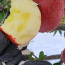 이현농장 이미지