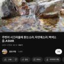 대신석유(주)남서울주유소 | 제목을 입력하세요