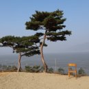 동막 2 이미지