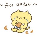 국제사우나 이미지