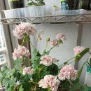 늘건강내과이비인후과의원 이미지