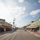 파주축산한우마을 티스토리