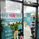 고양이화약국 네이버블로그