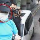 신상초등학교 이미지