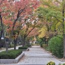 시티원부동산공인중개사사무소 이미지