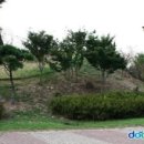 꽃뫼 제사 유적지 이미지