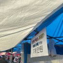 5일장 | 성남 모란민속5일장 나들이 후기 🥬🍆🍅