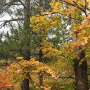 꿈꾸는 계곡펜션 이미지