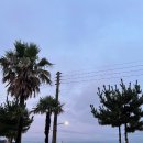 제주도 게스트하우스파티 빅썸 이미지