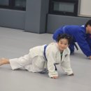 용인대 부흥 유도 체육관 이미지