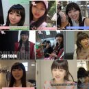 신헤어 Daum카페