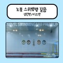 노블스위밍랩 | 노블스위밍랩 길음/ 성인수영 / 주부수영/키즈수영