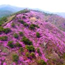 월미로4 이미지